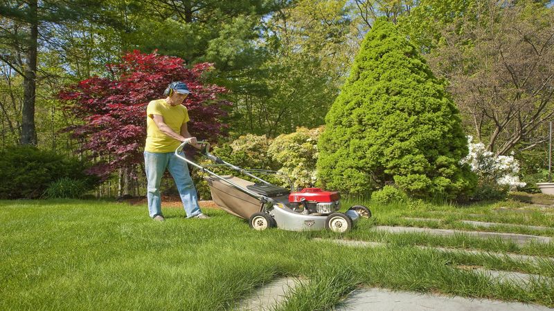 Lawn Care: Fall Landscape Maintenance Tips for your Scotts Valley Yard