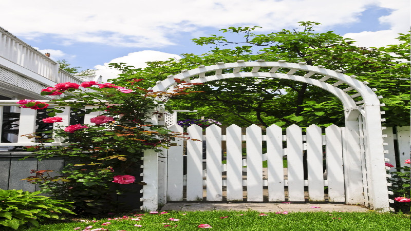 Call Your Local Fencing Company in Twin Falls for a Dog-Friendly Fence