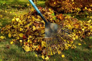 The Benefits Of Debris Hauling in Crystal Lake, IL