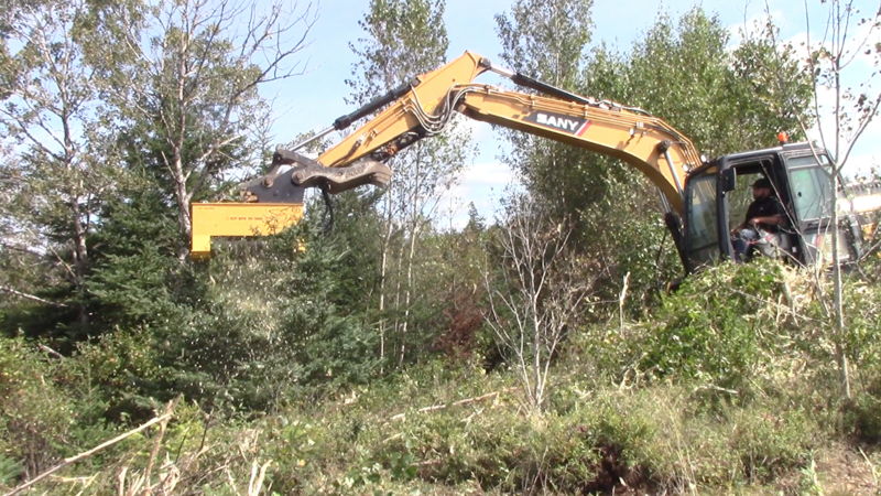 Employ a Mini Excavator Brush Cutter for Your Next Major Landscaping Job