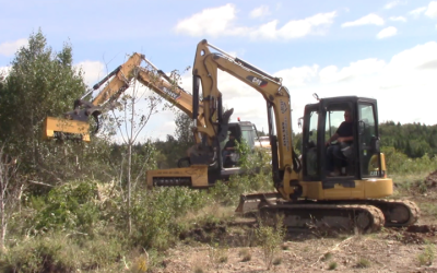 Two Benefits of Hiring a Company That Specializes in Tree Removal in Bremerton WA