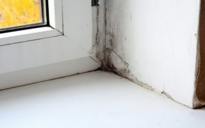 Tips For Water Damage Restoration In Long Island NY